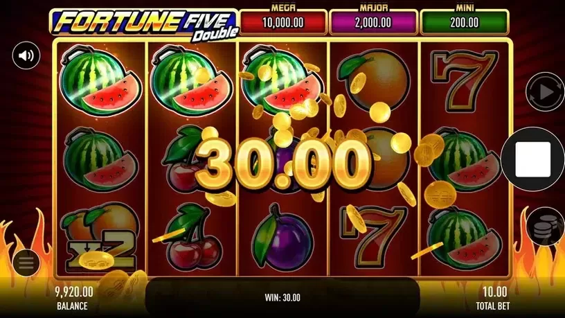 Fortune Five Double slot screenshot 3