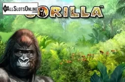 Gorilla. Gorilla from Greentube