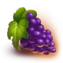 icon 5