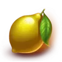 icon 6