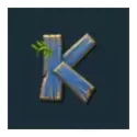 icon 7