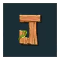 icon 9