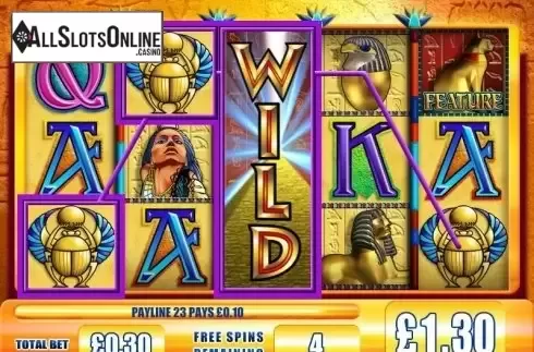 Wild Win screen. Temptation Queen from WMS