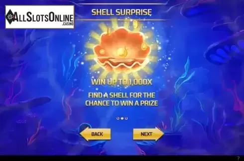 Shell surprise screen