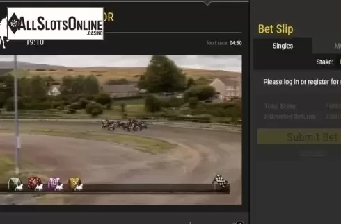 Game Screen. Virtual Racing from Leap Gaming