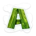 icon 6