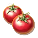icon 6