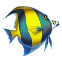 icon 3