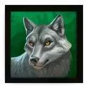icon 4