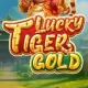 Lucky Tiger Gold