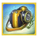 icon 4