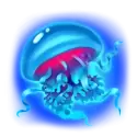 icon 5