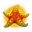 icon 6