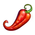 icon 5