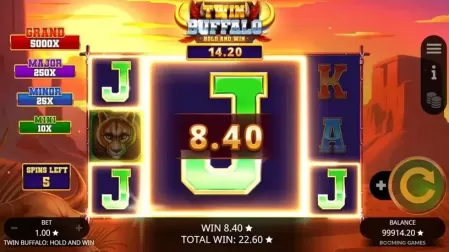Twin Buffalo Hold & Win slot screenshot 5