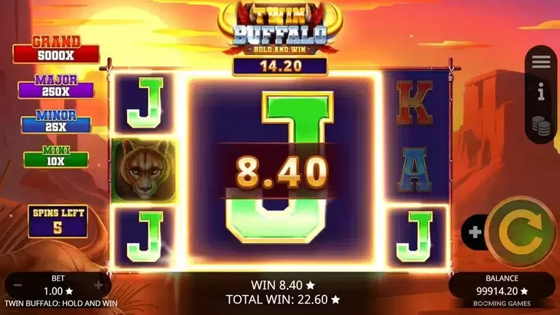 Twin Buffalo Hold & Win slot screenshot 5