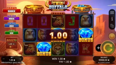 Twin Buffalo Hold & Win slot screenshot 2