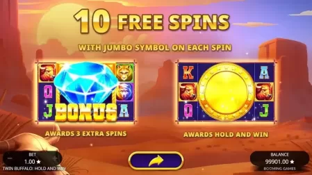 Twin Buffalo Hold & Win slot screenshot 3