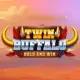 Twin Buffalo Hold & Win
