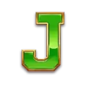 icon 9