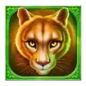 icon 4