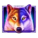 icon 9