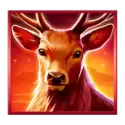 icon 3