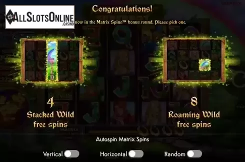 Matrix Spins