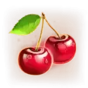 icon 6