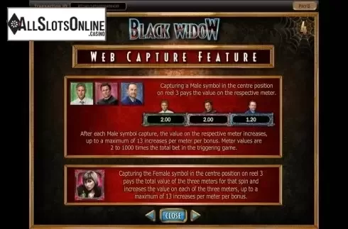 Paytable 3. Black Widow (IGT) from IGT