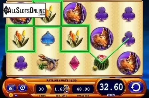 Win screen. Buffalo Spirit (WMS) from WMS