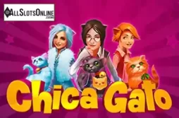 Chica Gato