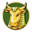 icon 4