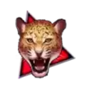 icon 2