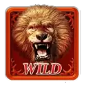 icon 1