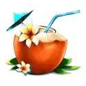 icon 4