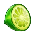 icon 4