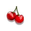 icon 5