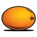 icon 9