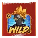 icon 10