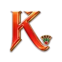 icon 9
