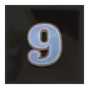 icon 12