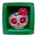 icon 2