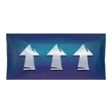 icon 12
