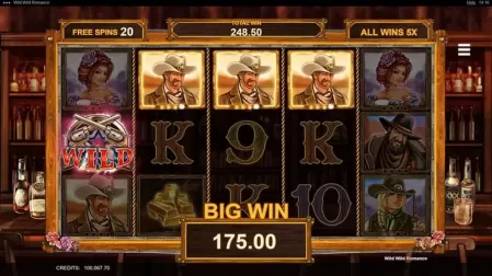 Wild Wild Romance slot screenshot 6