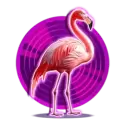 icon 2