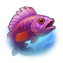 icon 10
