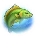 icon 12