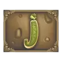 icon 9
