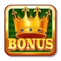 icon 9